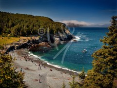 Middle Cove